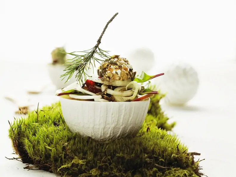 Fenchelsalat mit Birne, Cranberries und Frischkäse