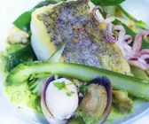 Seehechtfilet mit Muscheln und Spargel