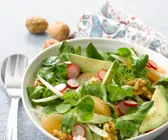 Feldsalat mit Radieschen, Avocado, Walnüssen und Fenchel