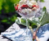 Rhabarbertrifle mit Sahne und Baiser