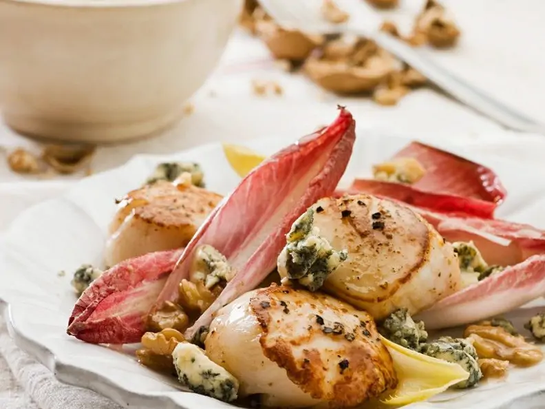 Gebratene Jakobsmuscheln mit Chicorée