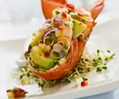 Hummer gefüllt mit Avocado-Garnelen-Salat auf Sprossen