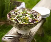Rucola-Champignon-Salat