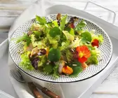 Blattsalat mit Hähnchen