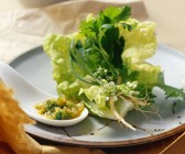 Asiatischer Salat mit Kräutern
