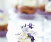 Blaubeercupcake mit Veilchen