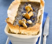 Pilzterrine