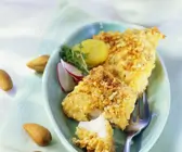 Panierter Rotbarsch mit Salat