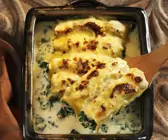 Mit Schnittkohl gefüllte Cannelloni