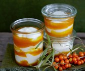 Sandorn-Joghurt-Dessert