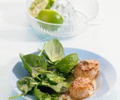 Jakobsmuscheln im Sesammantel mit Spinatsalat