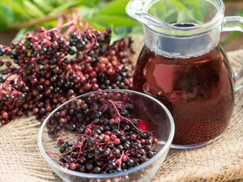 Selbst gemachter Holundersaft