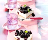 Quark-Buttermilch-Torte mit Brombeeren (ohne Backen)