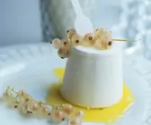 Panna cotta mit Johannisbeeren