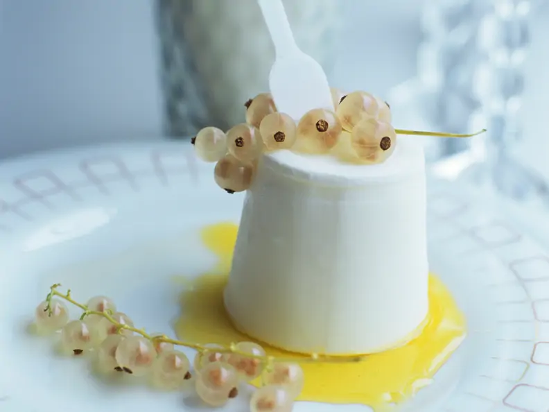 Panna cotta mit Johannisbeeren
