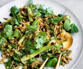 Dinkelsalat mit Fenchel und Johannisbeeren