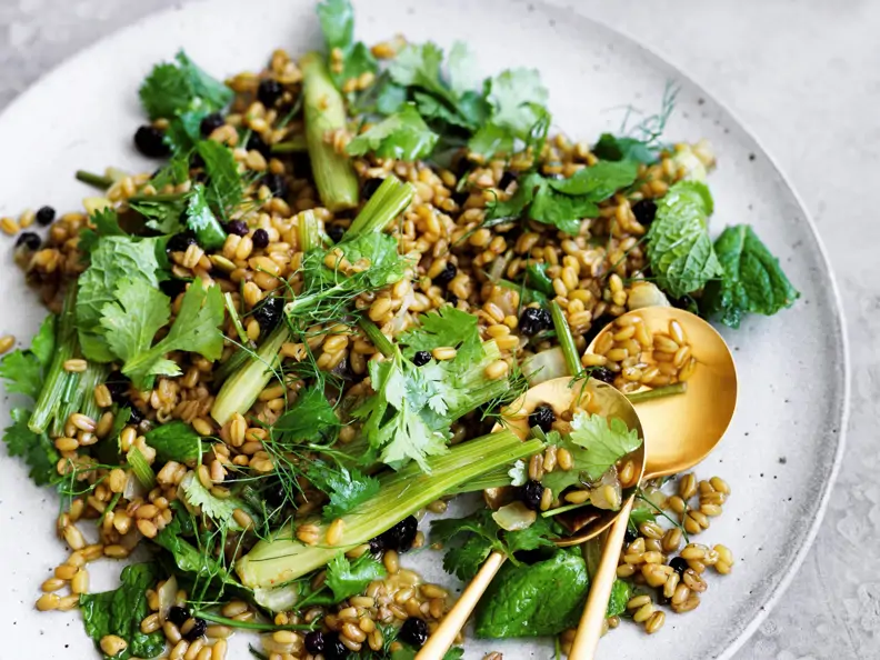 Dinkelsalat mit Fenchel und Johannisbeeren