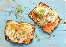 Vollkornbrot mit Avocadofrischkäse und Räucherlachs