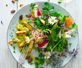 Gebratener Spargel an Wildkräutersalat