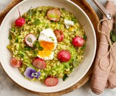 Grünes Risotto mit glasierten Radieschen und pochiertem Ei