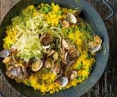 Risotto mit Safran, Venusmuscheln in Wein,