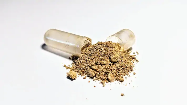 Wie gesund ist Ashwagandha? Wirkung auf Körper und Psyche
