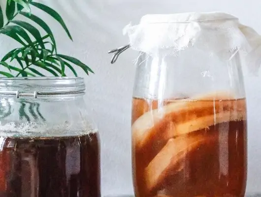 Kombucha selber machen