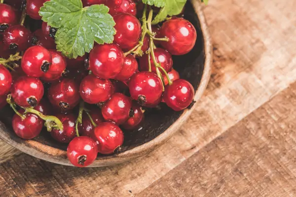 Johannisbeeren einfrieren