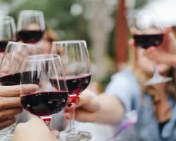 Alkohol schadet Gehirn