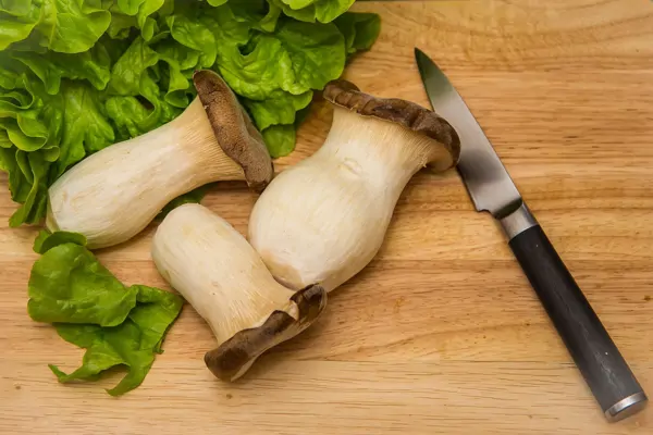 Kräuterseitlinge zubereiten 