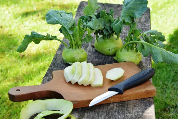 Kohlrabi kochen