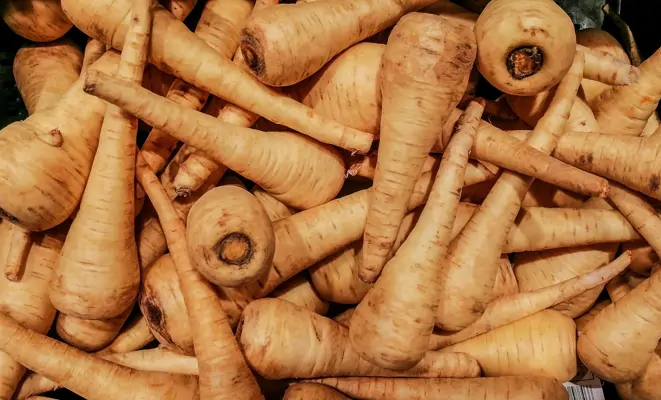 5 Gründe: Darum sind Pastinaken gesund