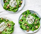 Kopfsalat mit Burrata-Kapern-Dressing