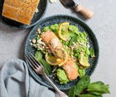 Zitronen-Lachs auf Grana-Padano-Erbsenpüree