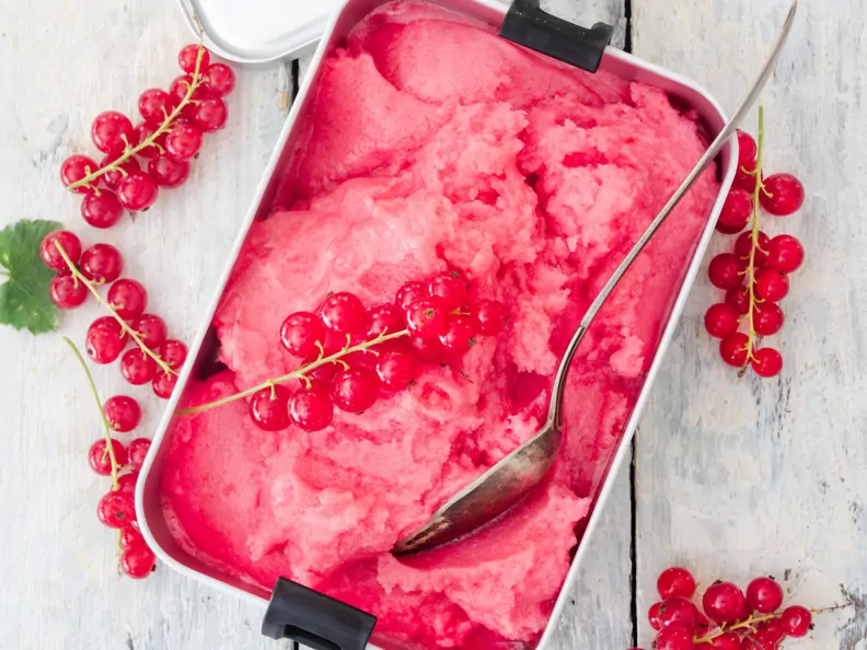 Rotes Johannisbeer-Sorbet
