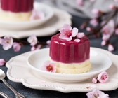 Kokos-Beeren-Pannacotta