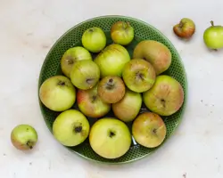 Nachhaltiges Frühstück: 6 herbstliche Rezepte