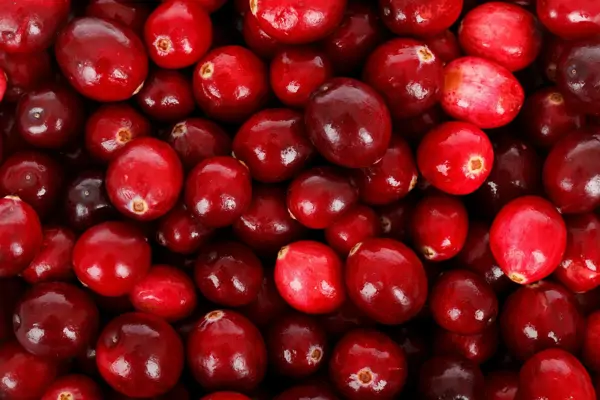 4 Gründe: Darum sind Cranberries gesund 