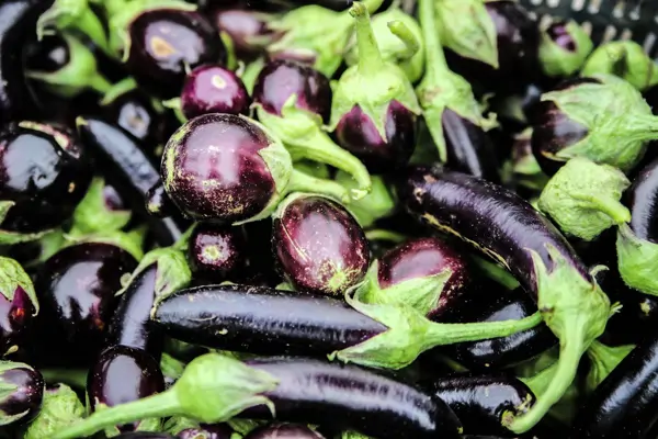 5 Gründe: Darum sind Auberginen gesund