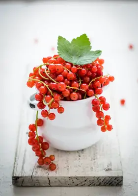 5 Gründe: Darum sind Johannisbeeren gesund