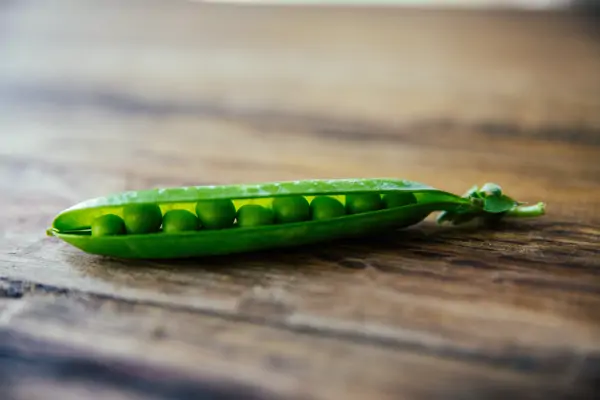 Erbsen gesund