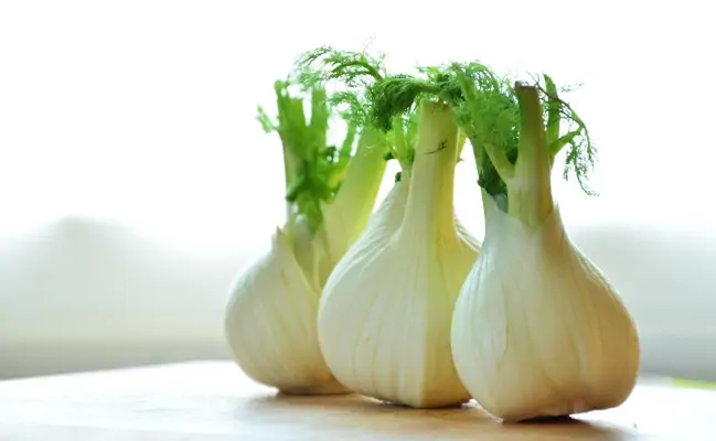 Fenchel gesund