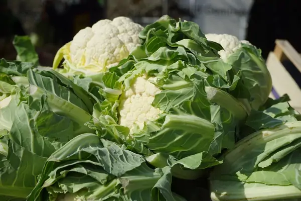 Blumenkohl gesund