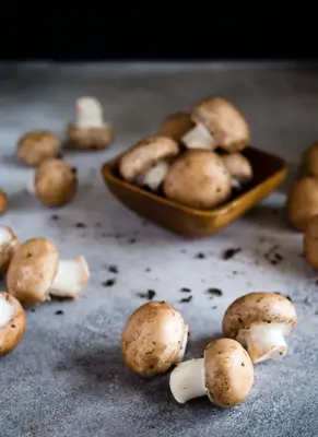 Champignon gesund
