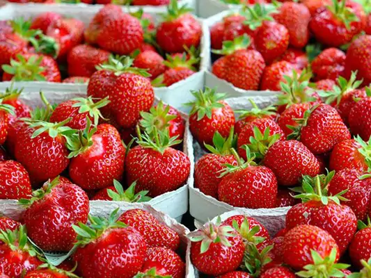 Erdbeeren in Schalen