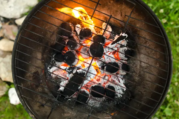 Gesund grillen