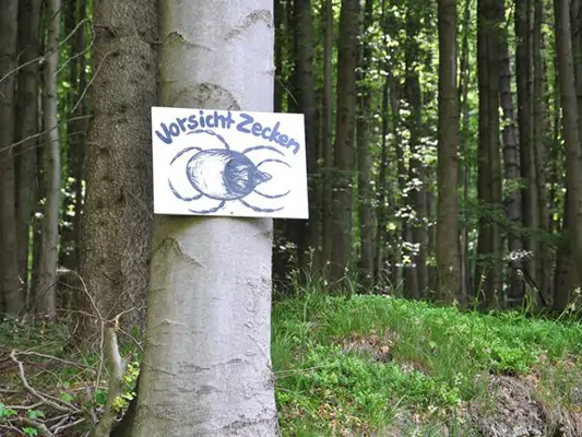 Warnschild: Zecken im Wald