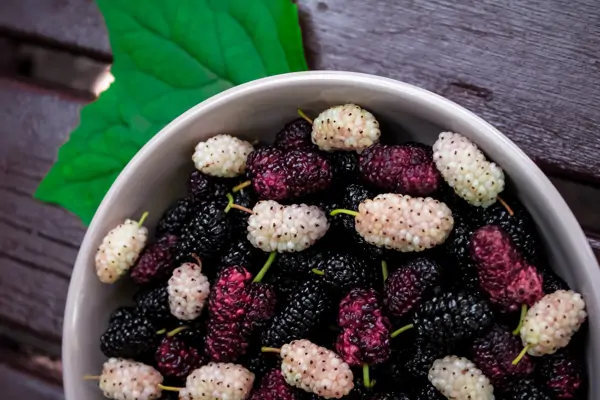 4 Gründe: Darum sind Maulbeeren gesund