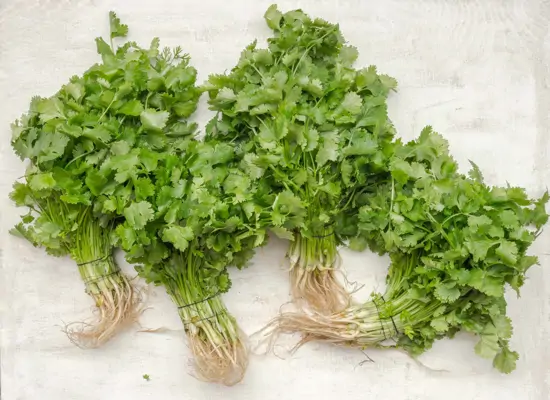 Petersilie gesund