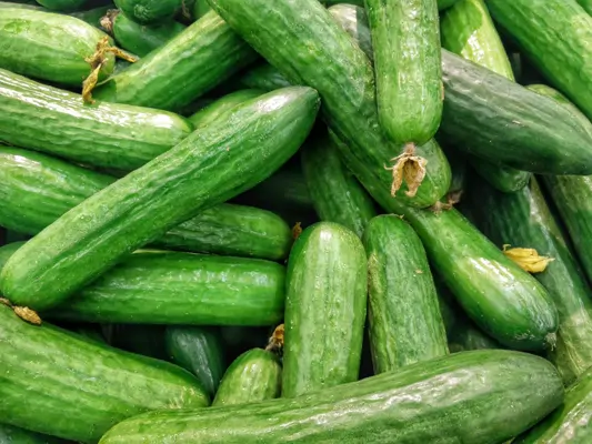 Gurken gesund